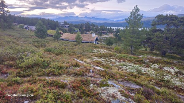 Rondane – dzikie serce Norwegii. Te góry zachwycają na każdym kroku!
