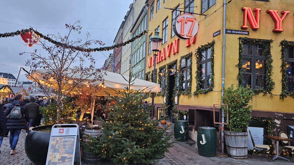 Świąteczne Study Tour do Kopenhagi 2026