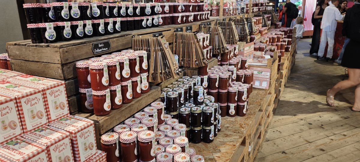 Morska Przygoda w Stralsund – Ozeaneum & Truskawkowe Królestwo Karls