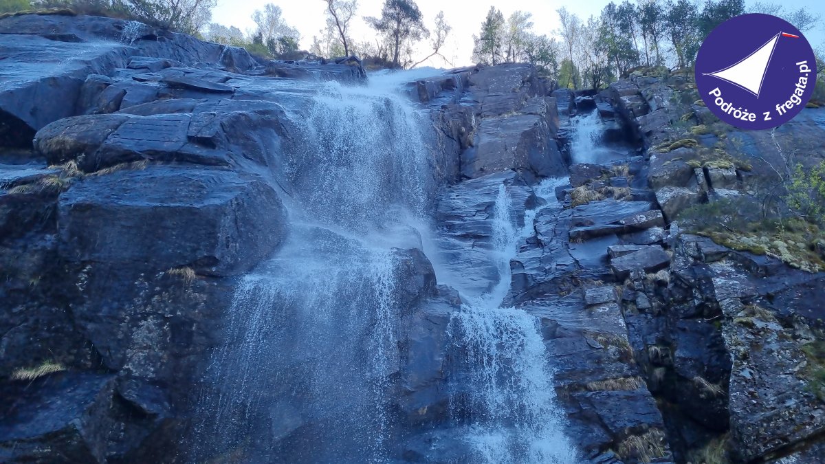 Szlakiem pielgrzymów do  św. Olafa